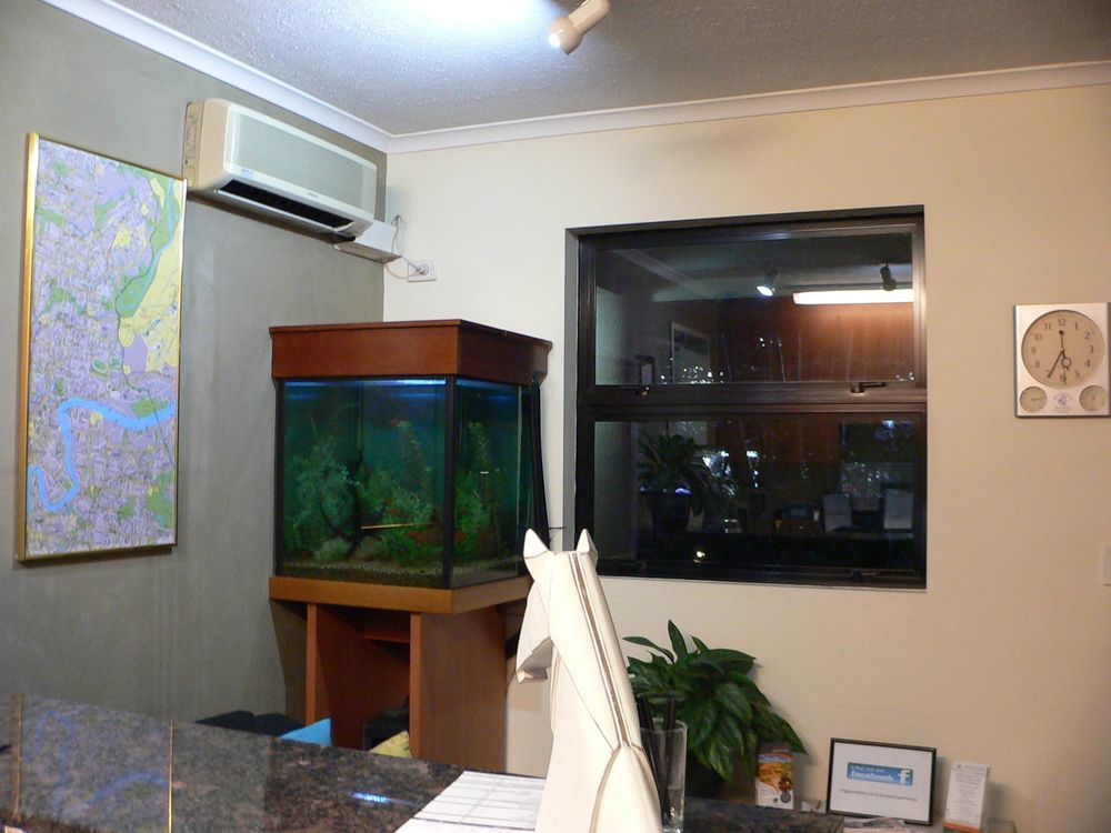 Pegasus Motor Inn And Serviced Apartments Hamilton Exterior photo